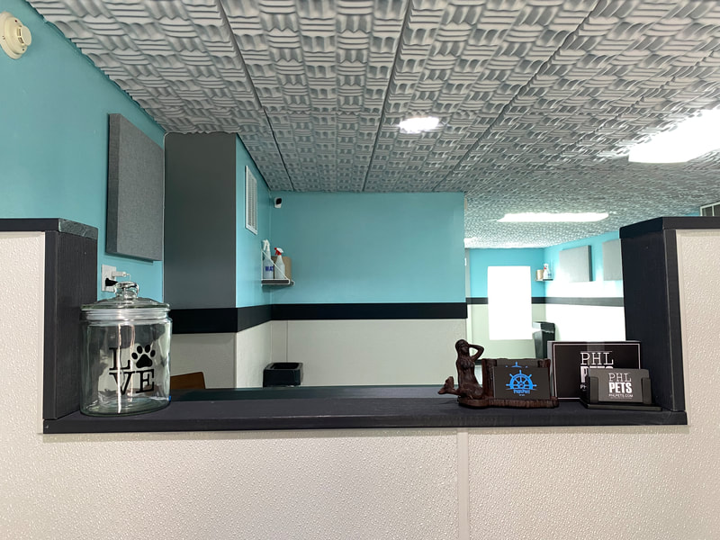 PupsPort Dog Daycare location in South Philly, Philadelphia.