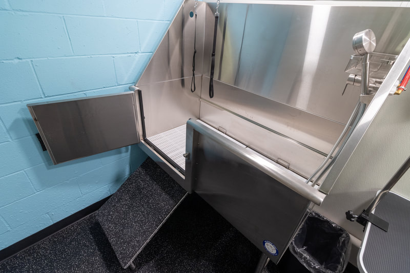 PupsPort Dog Daycare location with dog grooming services in South Philly, Philadelphia.