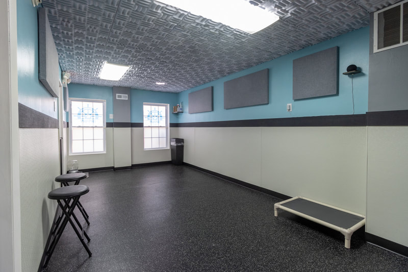 PupsPort Dog Daycare location playroom for dogs in South Philly, Philadelphia.